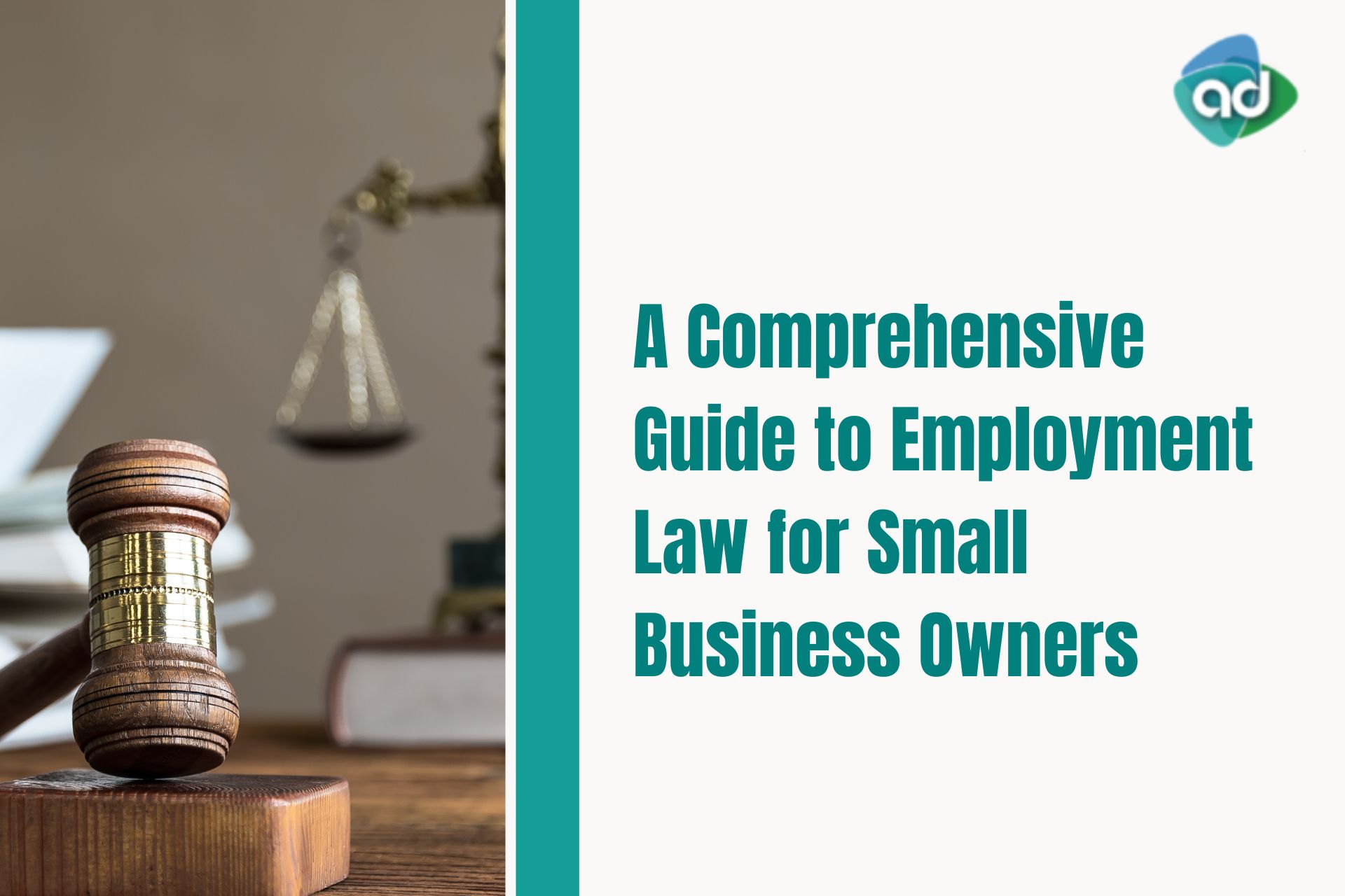 A Comprehensive Guide to Employment Law for Small Business Owners
